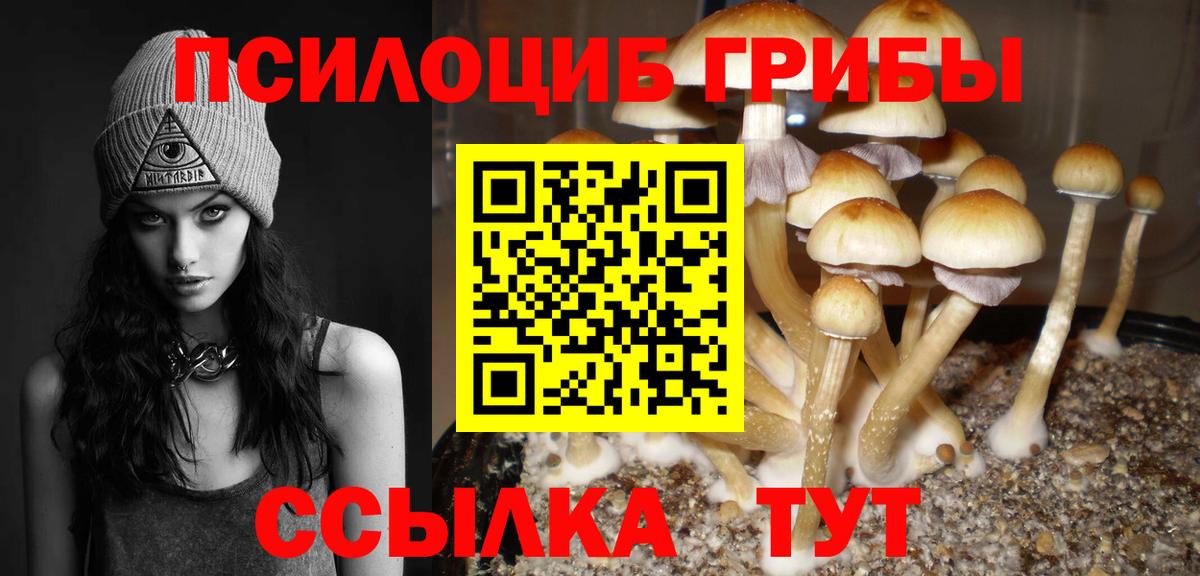 Псилоцибиновые грибы Psilocybine cubensis Губкин