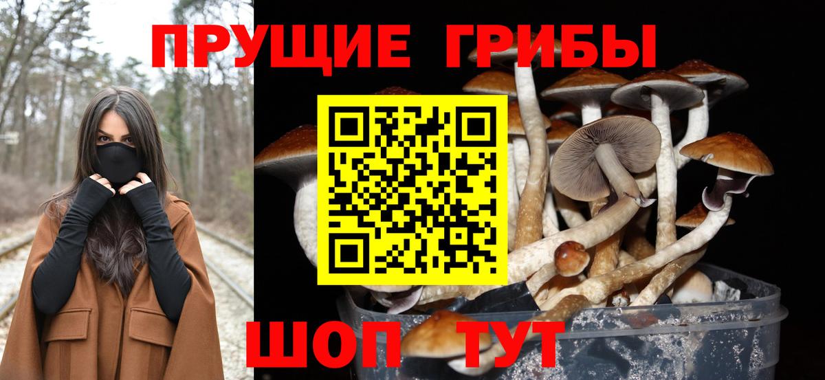 Губкин  Псилоцибиновые грибы Magic Shrooms  Вход с VPN 